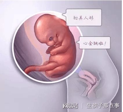 试管代孕包成功男孩